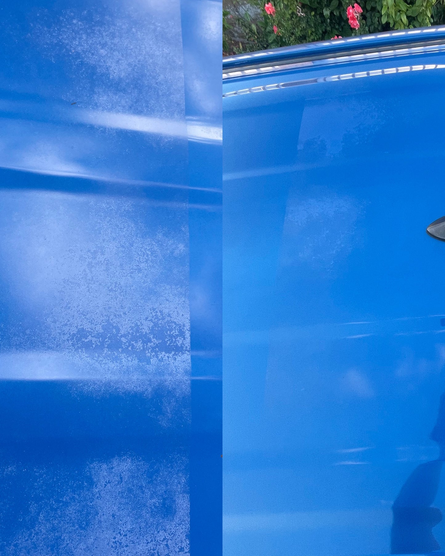 Clear Coat Restoration - Entire Car
